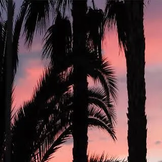 Vendrell Platja Hotel Calafell